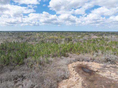 Tiny photo for Vacant 40 Acres Ellison Frith Road, Perry, FL 32348 (MLS # 396968)
