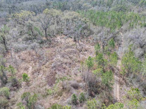 Tiny photo for Vacant 40 Acres Ellison Frith Road, Perry, FL 32348 (MLS # 396968)