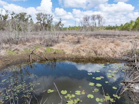 Tiny photo for Vacant 40 Acres Ellison Frith Road, Perry, FL 32348 (MLS # 396968)