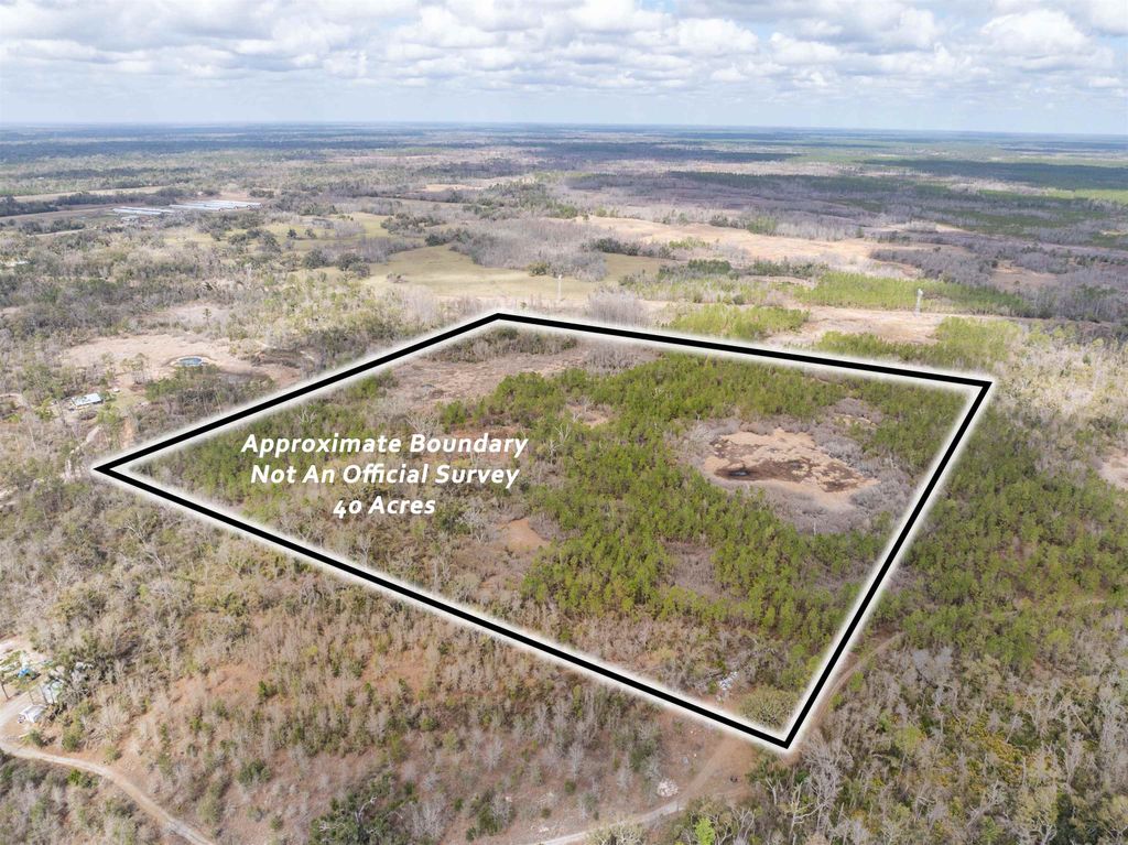 Photo of Vacant 40 Acres Ellison Frith Road, Perry, FL 32348 (MLS # 396968)