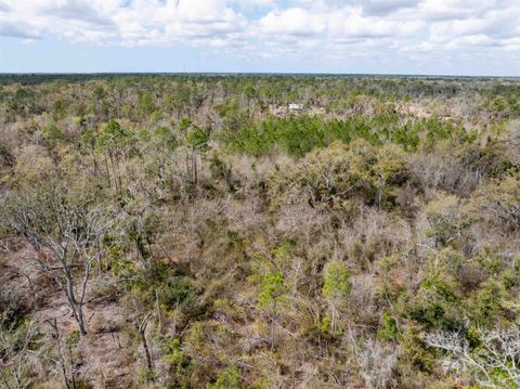 Tiny photo for Vacant 40 Acres Ellison Frith Road, Perry, FL 32348 (MLS # 396968)