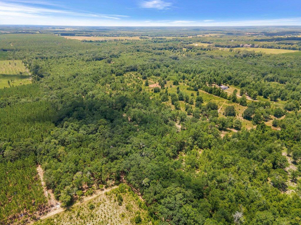 Photo of TBD NE Cedar Trail, Pinetta, FL 32350 (MLS # 391036)