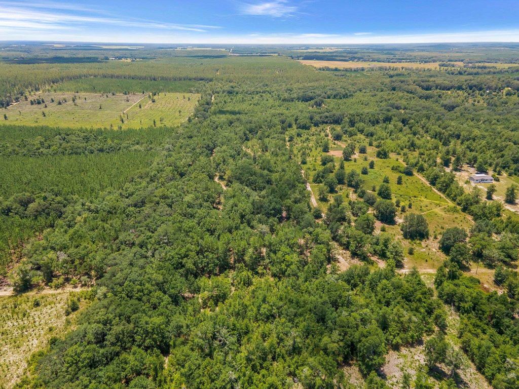 Photo of TBD NE Cedar Trail, Pinetta, FL 32350 (MLS # 391036)