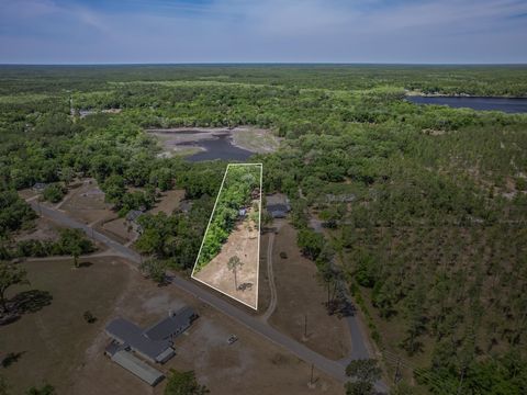 Photo of 162 FRIENDSHIP CHURCH Road, Crawfordville, FL 32327 (MLS # 399290)
