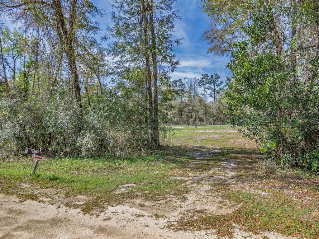Photo of 230 BASSWOOD Drive, Crawfordville, FL 32327 (MLS # 397454)