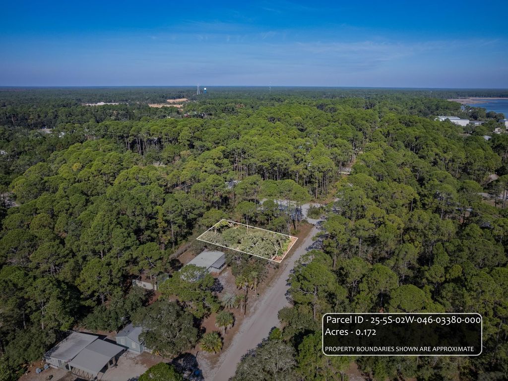 Photo of xx Mississippi Avenue, Panacea, FL 32346 (MLS # 393560)