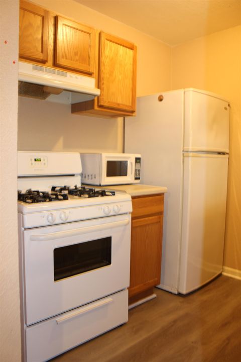 Tiny photo for 317 Mabry Street #611, Tallahassee, FL 32304 (MLS # 392326)