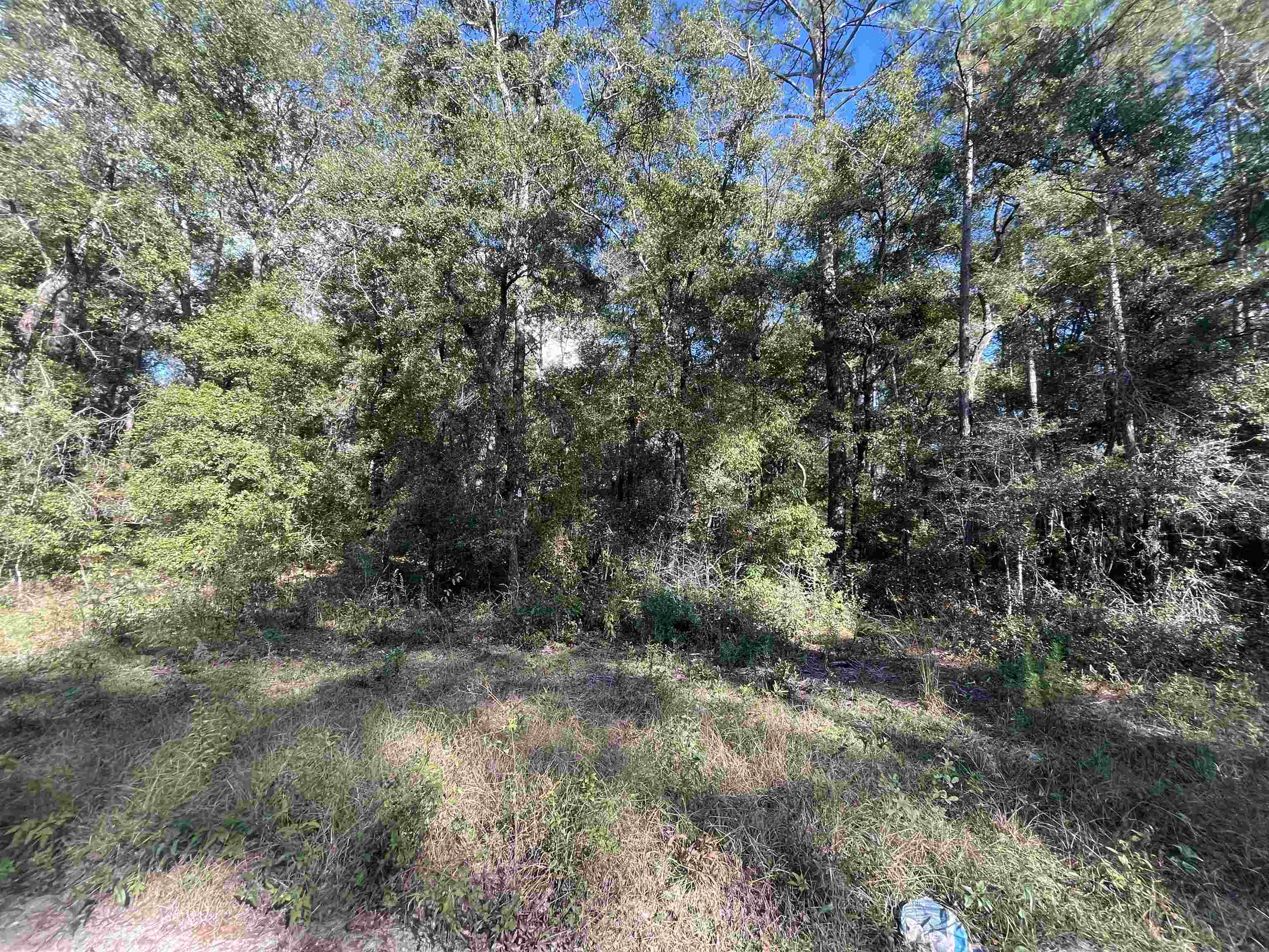 TBD Rutland Road