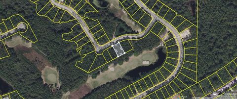 Tiny photo for 118 White Pelican Way, Carrabelle, FL 32322 (MLS # 401845)