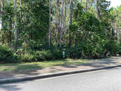 Tiny photo for 118 White Pelican Way, Carrabelle, FL 32322 (MLS # 401845)