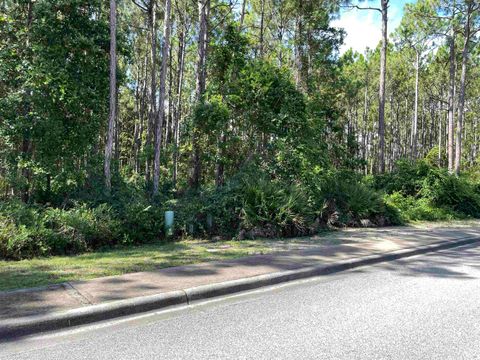 Tiny photo for 118 White Pelican Way, Carrabelle, FL 32322 (MLS # 401845)