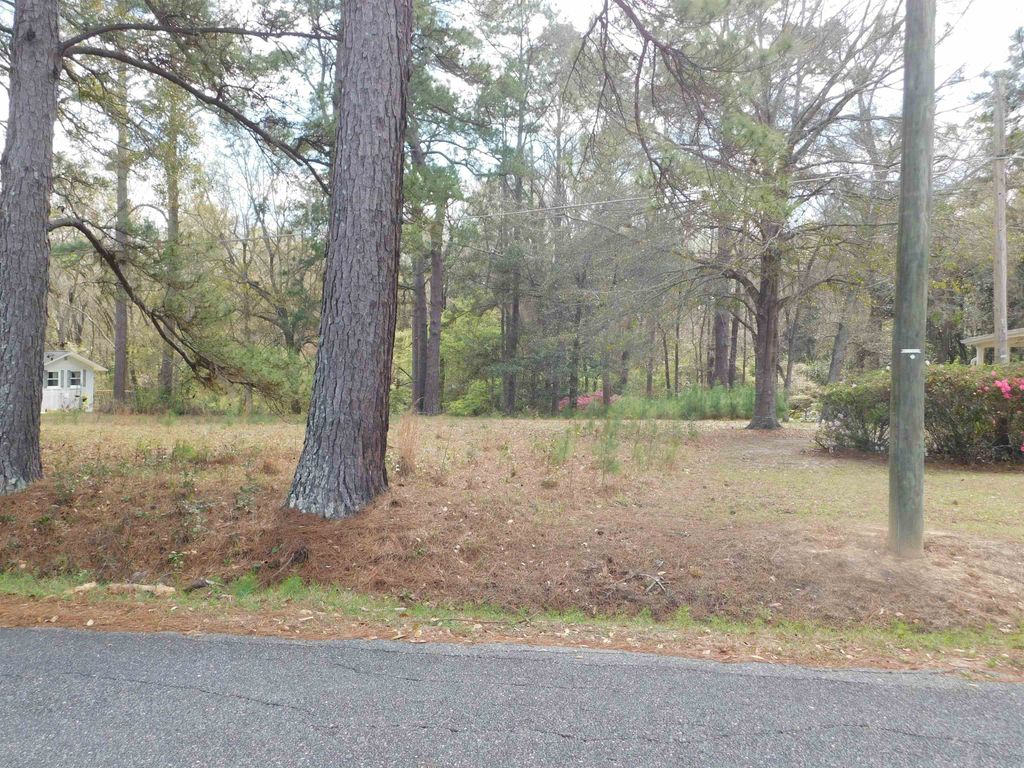Photo of 0 FULLER Road, Tallahassee, FL 32303 (MLS # 397196)