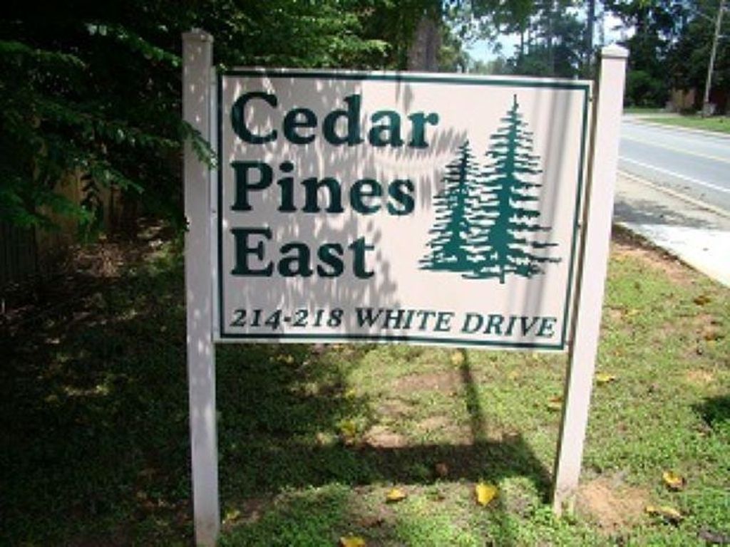 Photo of 214 WHITE Drive, Tallahassee, FL 32304 (MLS # 347810)