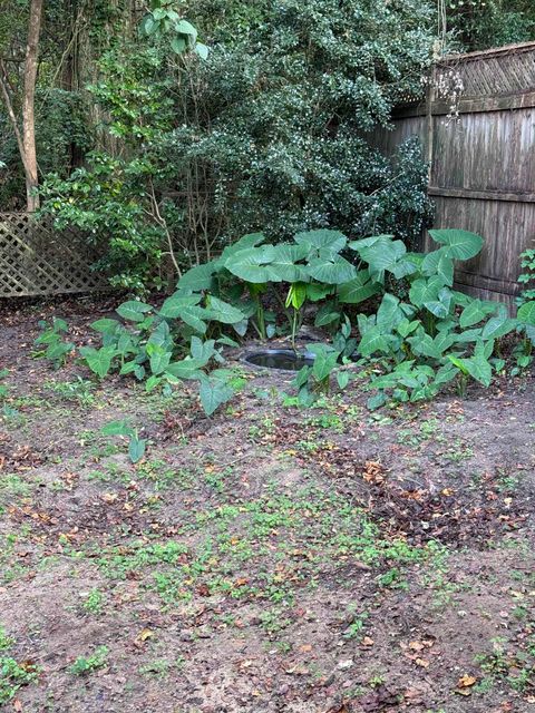 A home in Tallahassee