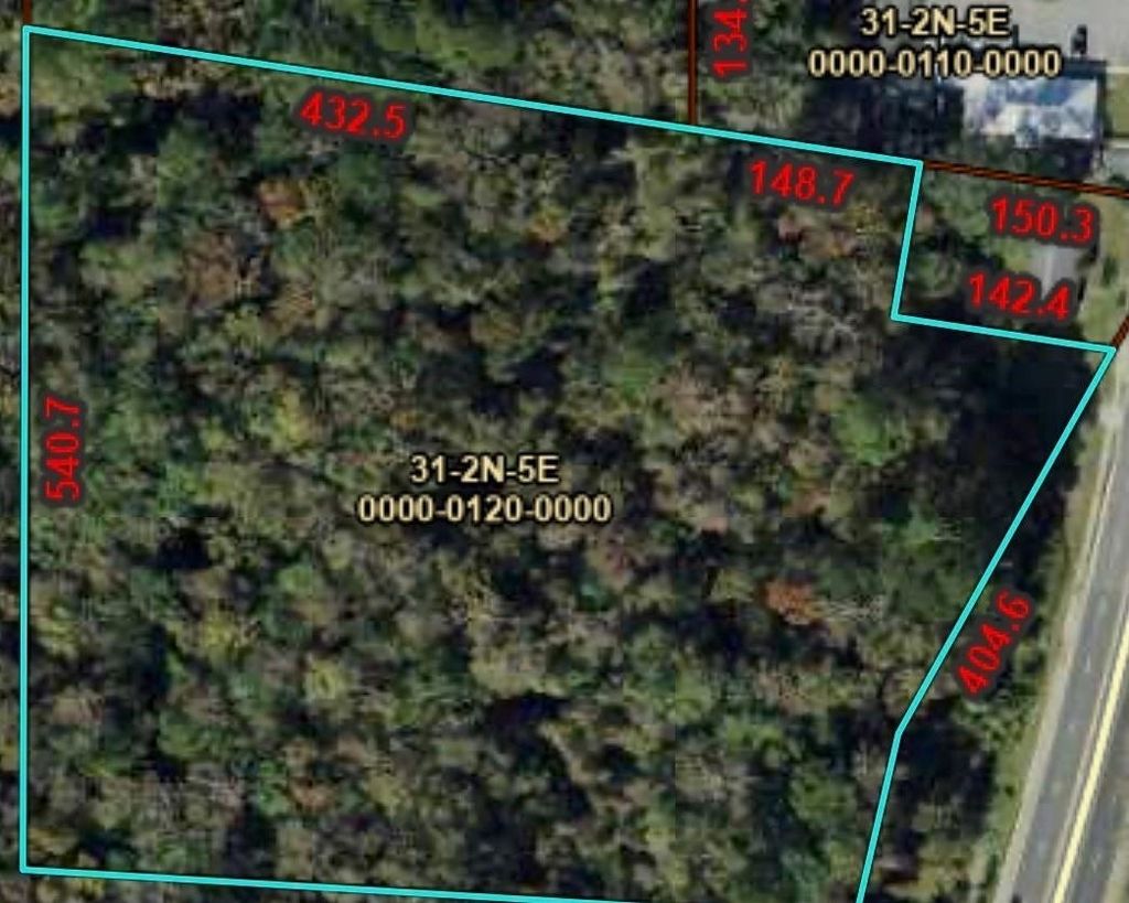 Photo of 1407 S JEFFERSON Streets, Monticello, FL 32344 (MLS # 399130)