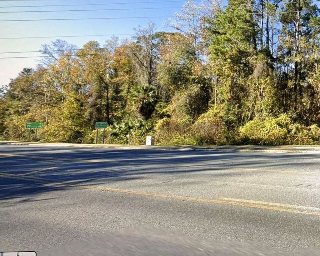 Photo of 1407 S JEFFERSON Streets, Monticello, FL 32344 (MLS # 399130)