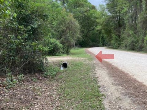 Tiny photo for XX Ridge Road, Monticello, FL 32344 (MLS # 398150)