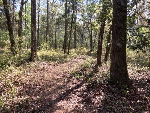 Tiny photo for XX Ridge Road, Monticello, FL 32344 (MLS # 398150)