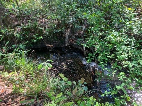 Tiny photo for XX Ridge Road, Monticello, FL 32344 (MLS # 398150)