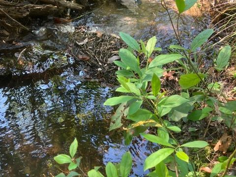 Tiny photo for XX Ridge Road, Monticello, FL 32344 (MLS # 398150)