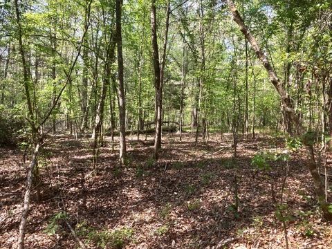 Tiny photo for XX Ridge Road, Monticello, FL 32344 (MLS # 398150)