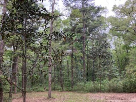 Tiny photo for XX Ridge Road, Monticello, FL 32344 (MLS # 398150)