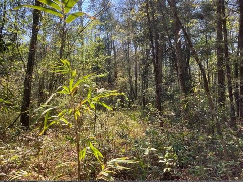 Tiny photo for XX Ridge Road, Monticello, FL 32344 (MLS # 398150)