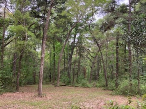Tiny photo for XX Ridge Road, Monticello, FL 32344 (MLS # 398150)