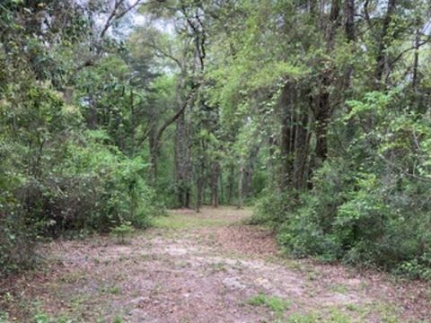 Tiny photo for XX Ridge Road, Monticello, FL 32344 (MLS # 398150)