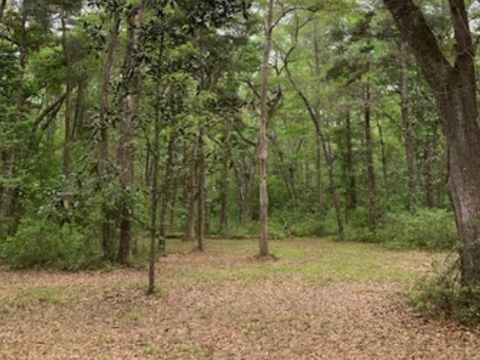 Tiny photo for XX Ridge Road, Monticello, FL 32344 (MLS # 398150)