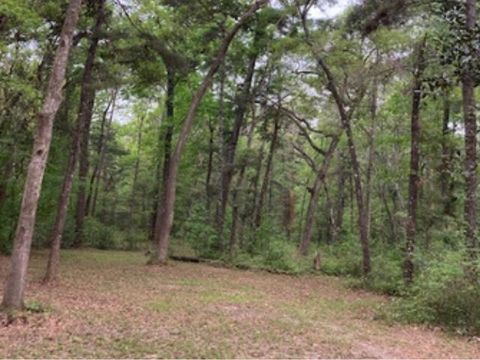 Tiny photo for XX Ridge Road, Monticello, FL 32344 (MLS # 398150)