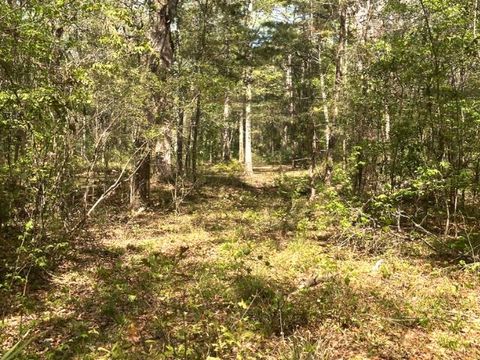 Tiny photo for XX Ridge Road, Monticello, FL 32344 (MLS # 398150)