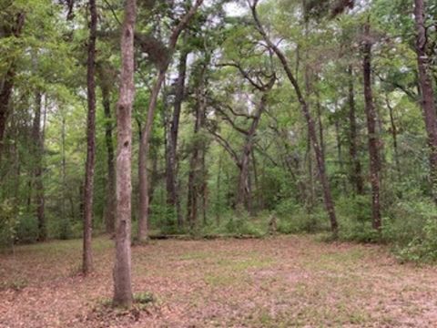 Tiny photo for XX Ridge Road, Monticello, FL 32344 (MLS # 398150)
