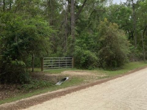 Tiny photo for XX Ridge Road, Monticello, FL 32344 (MLS # 398150)