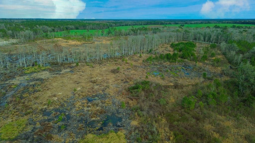Photo of 0 BIG JOE Road, Monticello, FL 32344 (MLS # 399642)