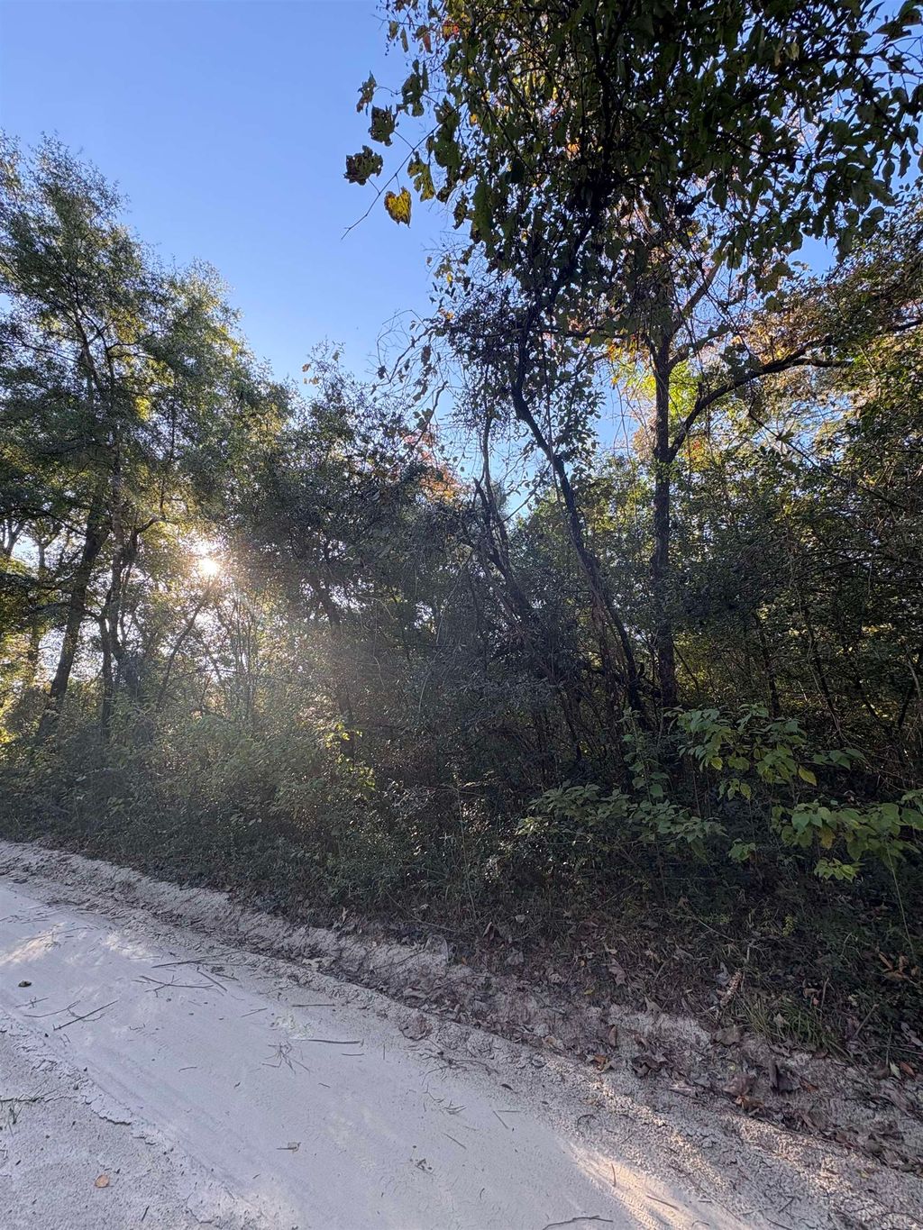 Photo of xxx Luke Smith Road, Crawfordville, FL 32327 (MLS # 392509)