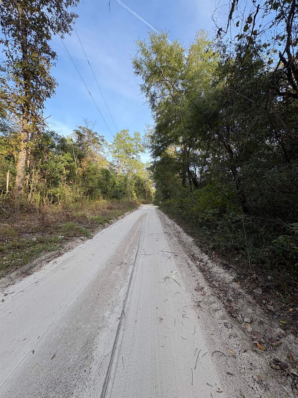 Photo of xxx Luke Smith Road, Crawfordville, FL 32327 (MLS # 392509)