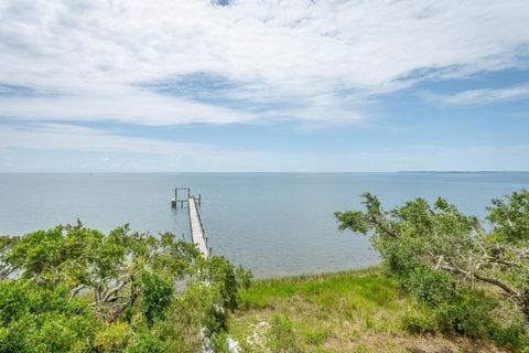 Tiny photo for 2800 Highway 98 E, St James, FL 32322 (MLS # 401890)