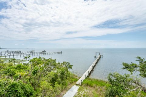 Tiny photo for 2800 Highway 98 E, St James, FL 32322 (MLS # 401890)