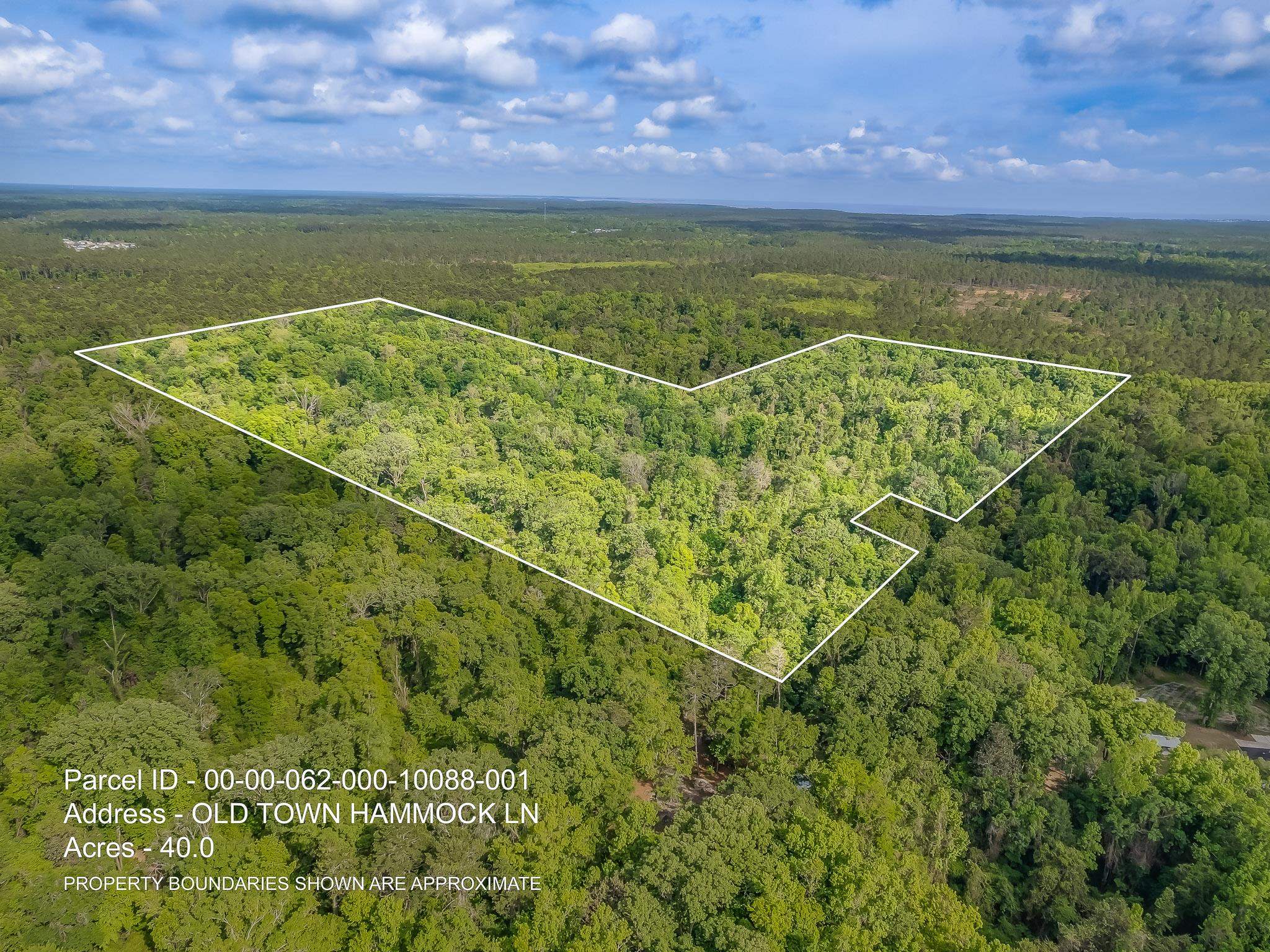 40 ac 0 OLD TOWN HAMMOCK Lane