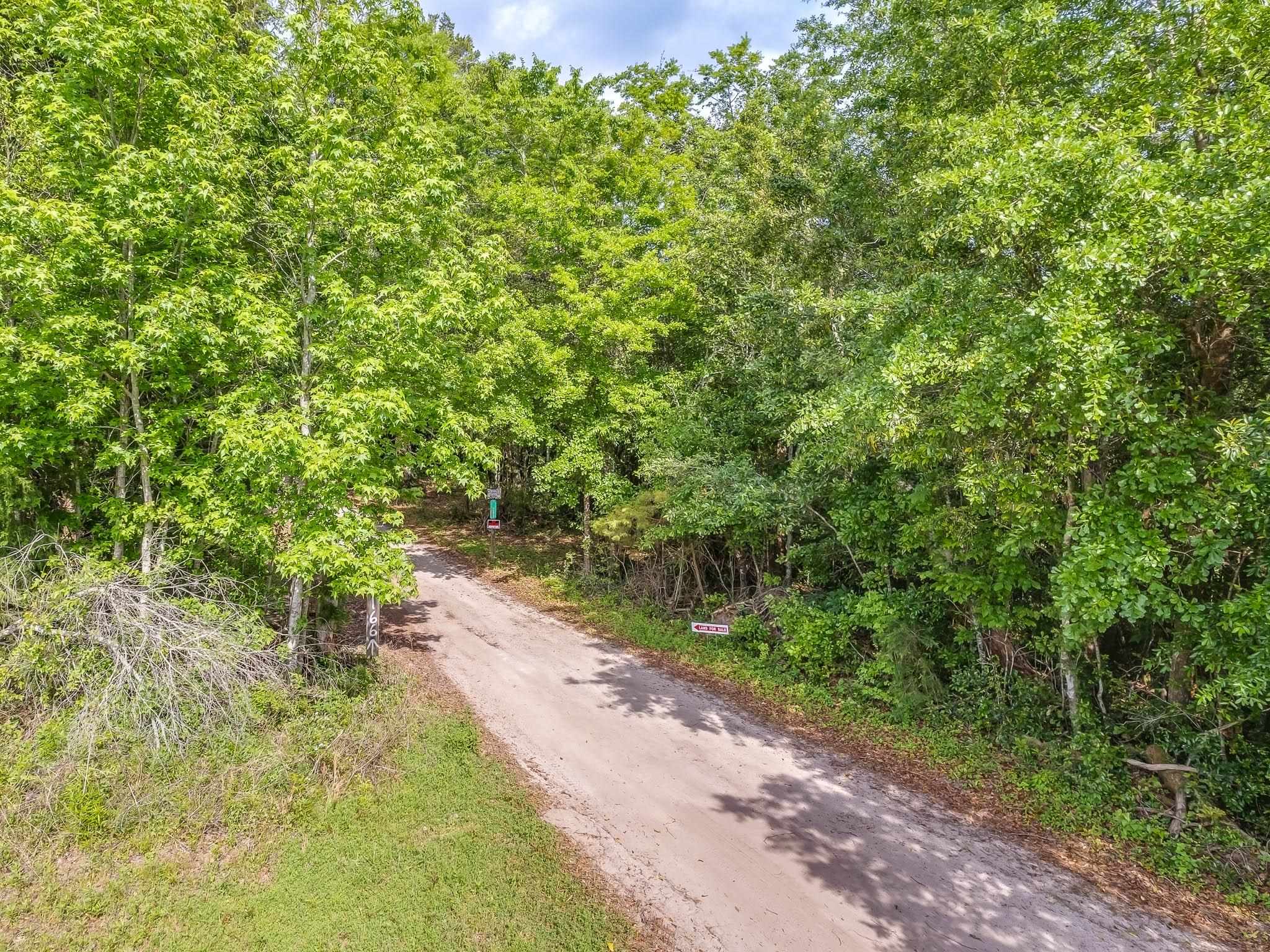 40 ac 0 OLD TOWN HAMMOCK Lane