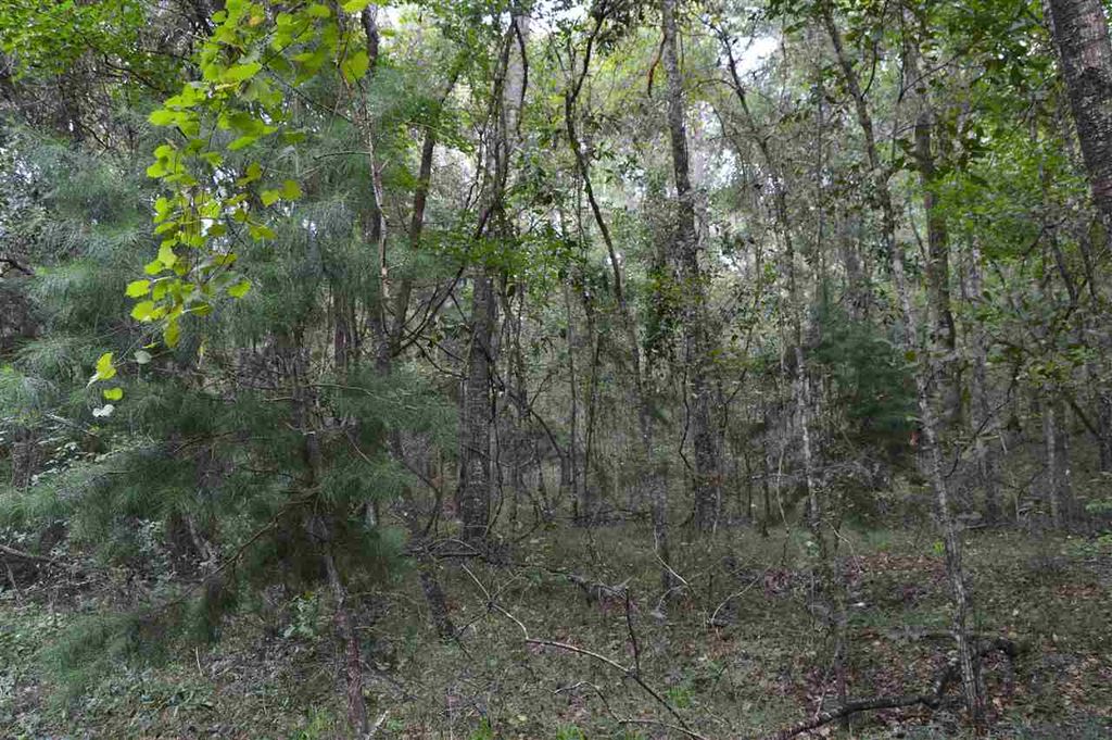 Photo of 687 smokehouse farms Drive #na, Monticello, FL 32344 (MLS # 392007)