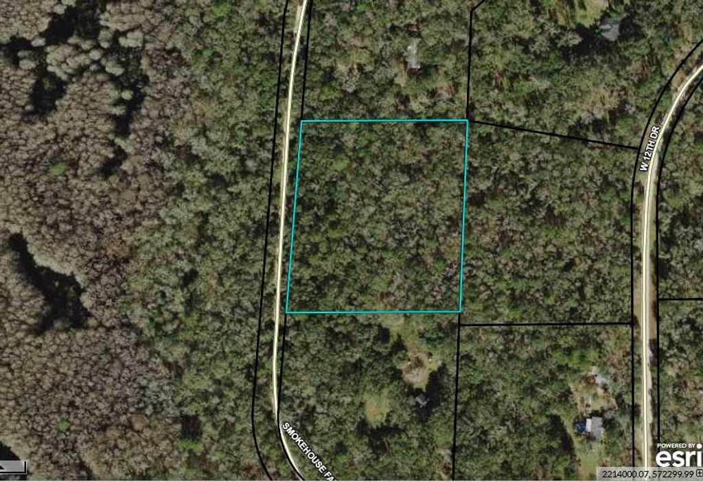 Photo of 687 smokehouse farms Drive #na, Monticello, FL 32344 (MLS # 392007)