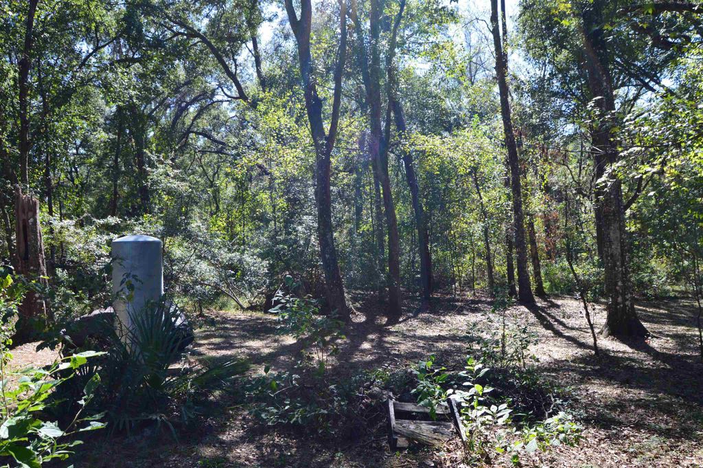Photo of 687 smokehouse farms Drive #na, Greenville, FL 32331 (MLS # 392007)