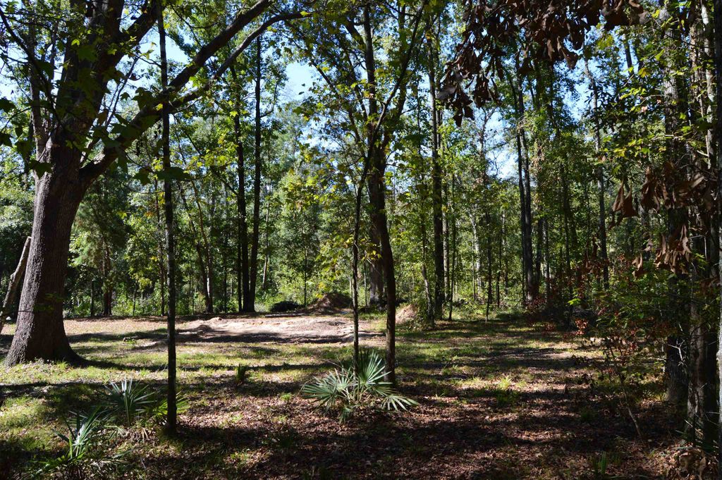 Photo of 687 smokehouse farms Drive #na, Greenville, FL 32331 (MLS # 392007)
