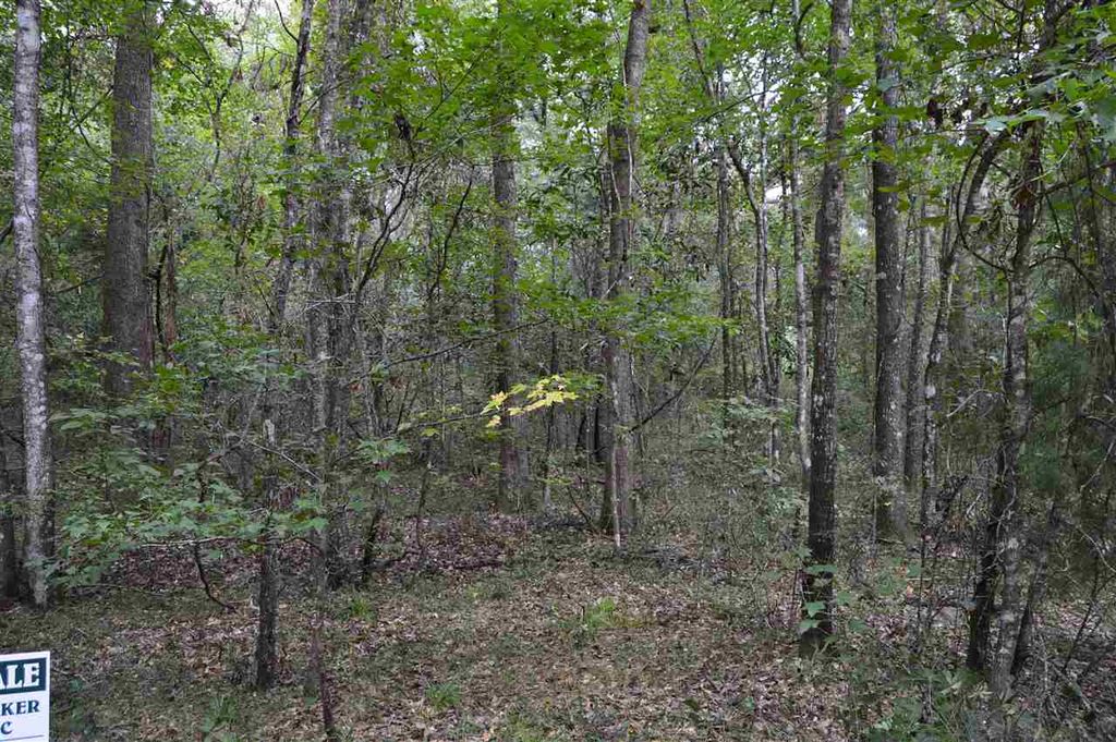 Photo of 687 smokehouse farms Drive #na, Monticello, FL 32344 (MLS # 392007)