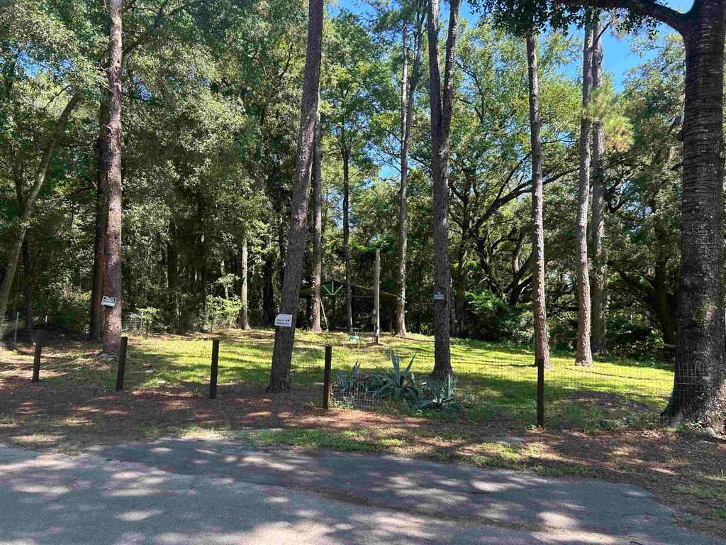 Photo of 612 Whittaker Road, Tallahassee, FL 32305 (MLS # 394629)