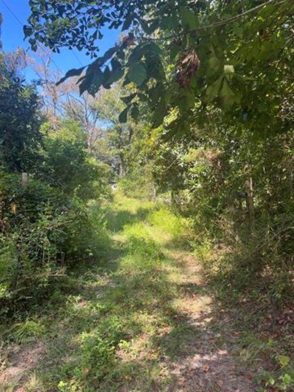 Photo of Yupon Drive, Crawfordville, FL 32327 (MLS # 401743)