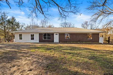 4781 FM 1993 Cookville TX 75558