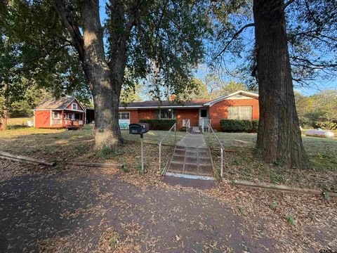 15513 E FM 16 Winona TX 75792